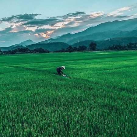 Hoi An Paddy House Homestay المظهر الخارجي الصورة