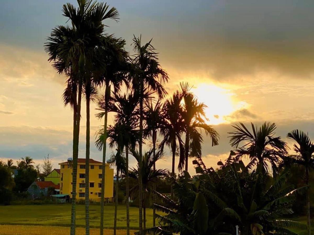 Hoi An Paddy House Homestay المظهر الخارجي الصورة